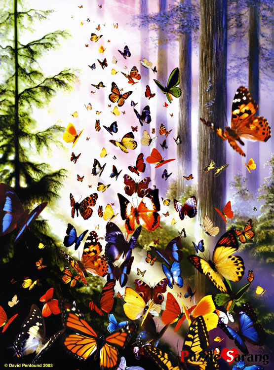 나비들의 정원